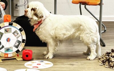 Auf den Hund gekommen – tierischer Besuch in der Fachschule Heilerziehungspflege!